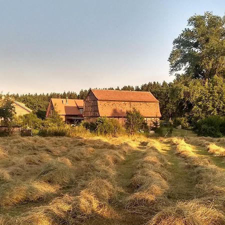 Ziegeleihof Inmitten Von Wiesen Und Waeldern Degenershausen Екстер'єр фото